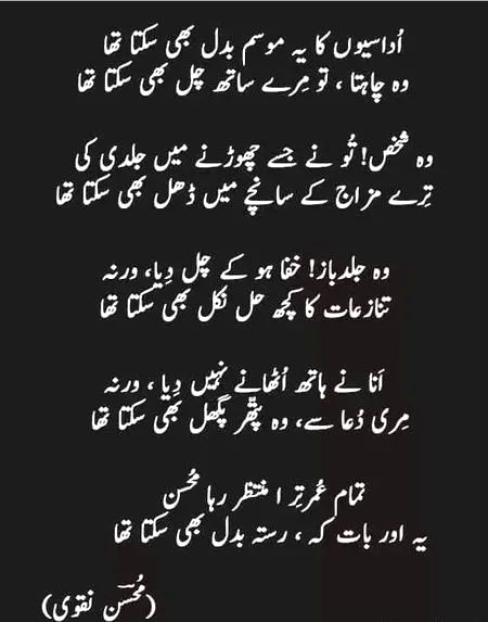 Sad Poetry image