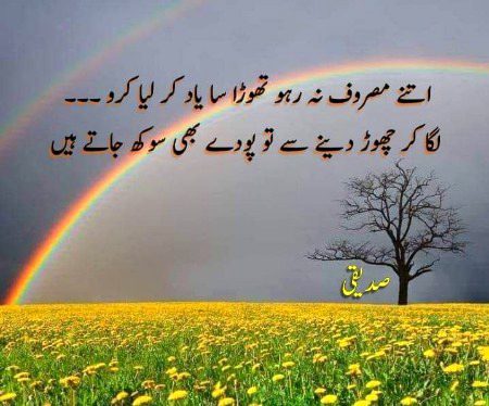 Sad poetry