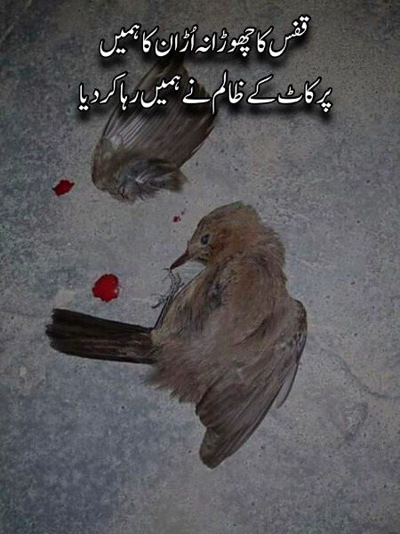Sad Poetry image