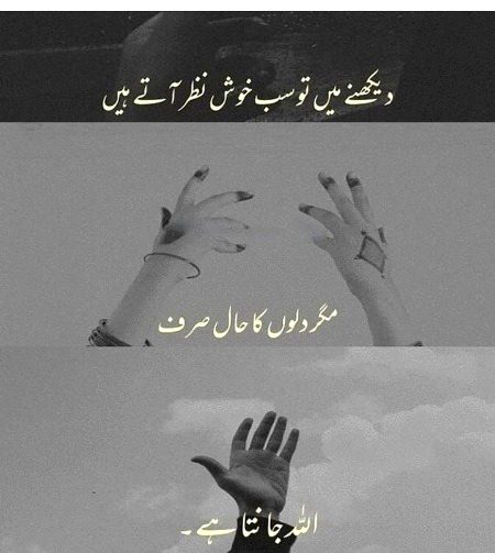 Islamic Quotes image