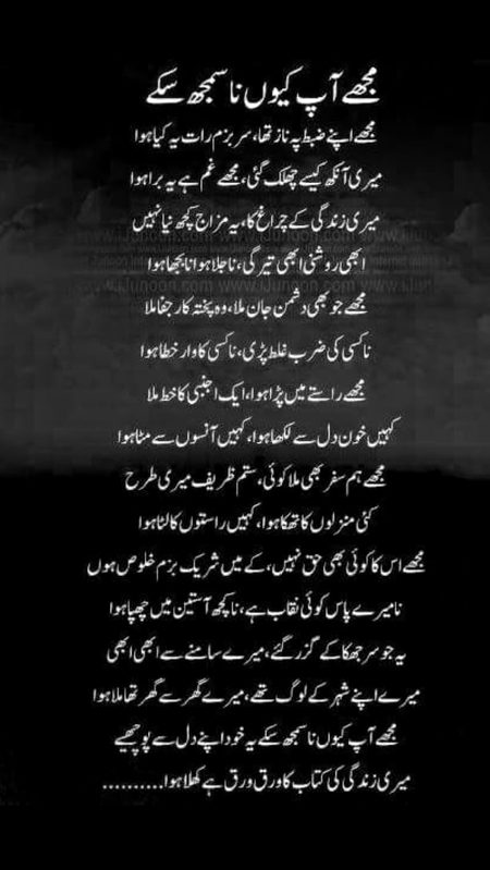Sad Poetry image