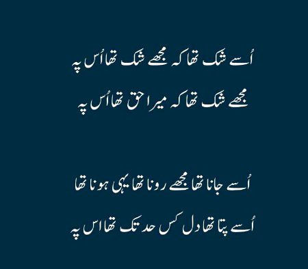 Sad Poetry image