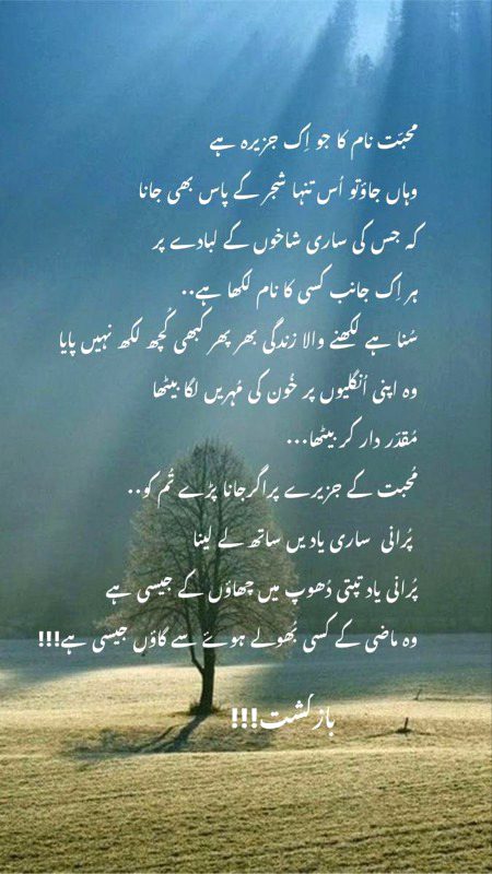 Sad Poetry image