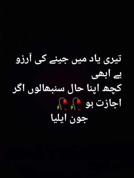 Sad Poetry image