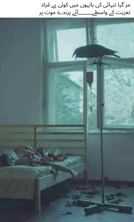 Sad Poetry image
