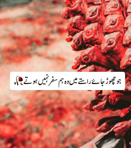 Sad Poetry image