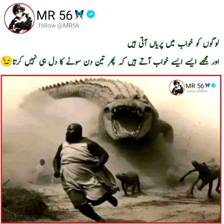 Memes & Satire image