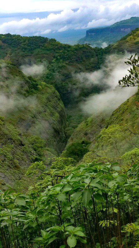 Beautiful Nature image