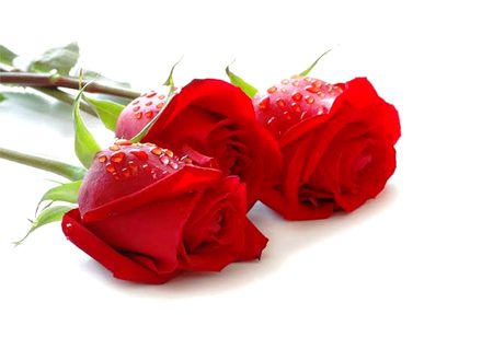 Beautiful Nature image