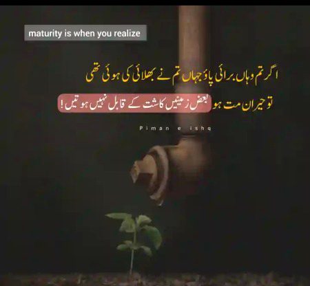 Sad Poetry image