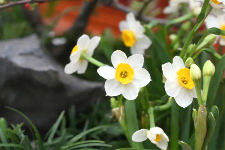 Beautiful Nature image