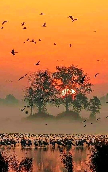 Beautiful Nature image