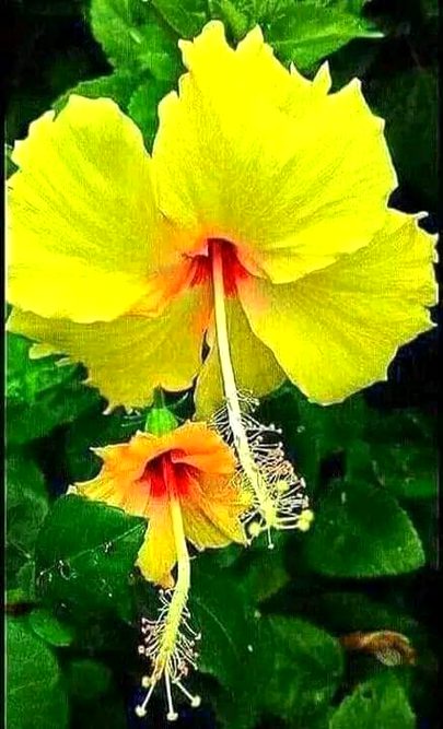 Beautiful Nature image