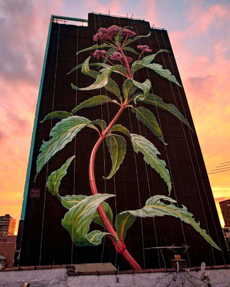 Street Art image