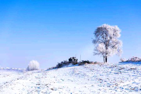 Beautiful Nature image