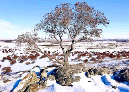 Beautiful Nature image