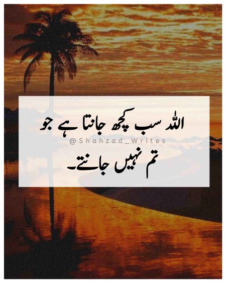 Social media post