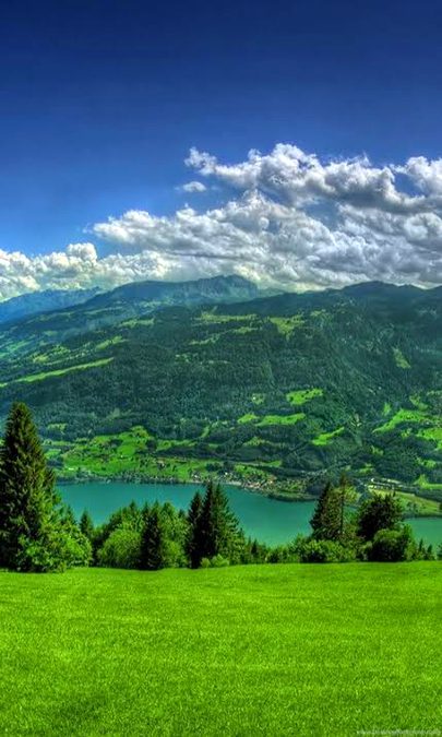 Beautiful Nature image