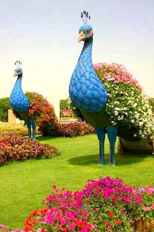 Beautiful Nature image