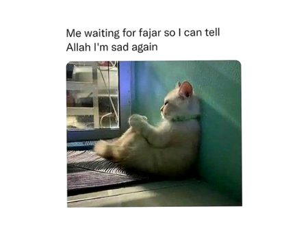 Memes & Satire image