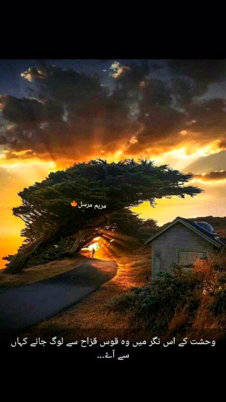 Romantic Poetry image