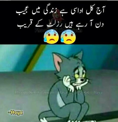 Social media post