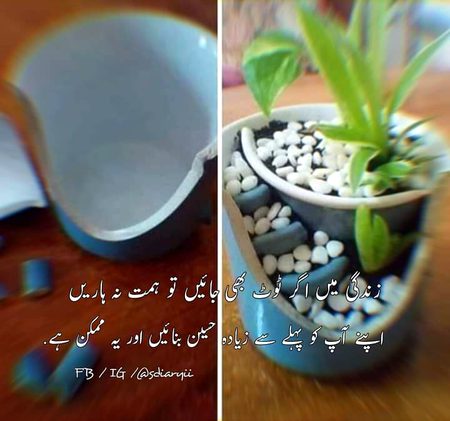 Motivational Quotes image