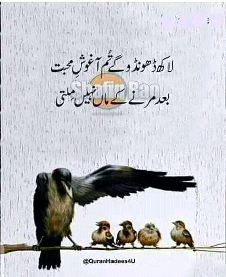 Social media post