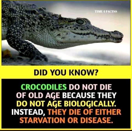 Interesting Posts image