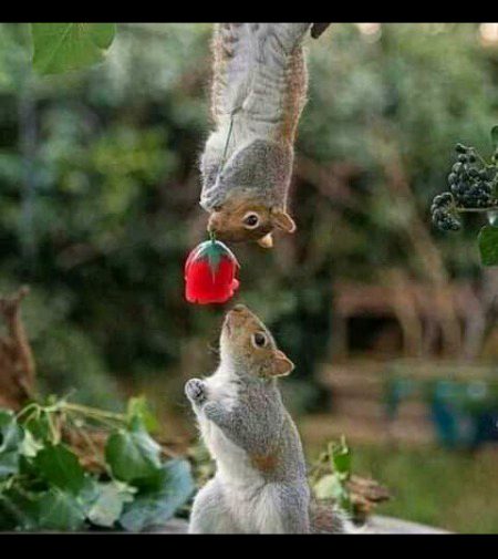 Beautiful Nature image