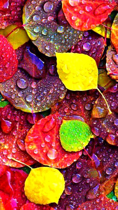 Beautiful Nature image