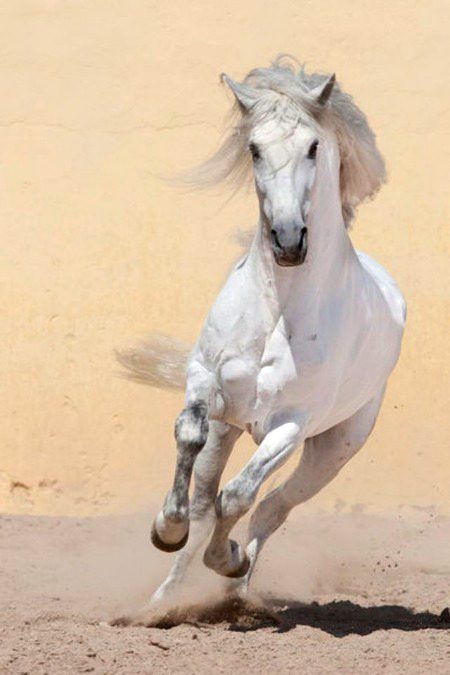 Beautiful Nature image