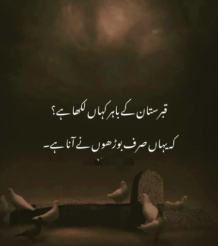Life Advice image