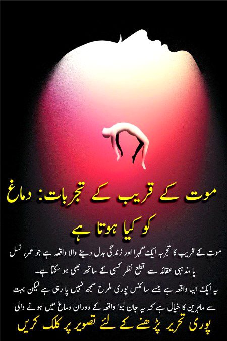 Interesting Posts image