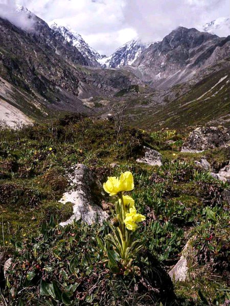 Beautiful Nature image