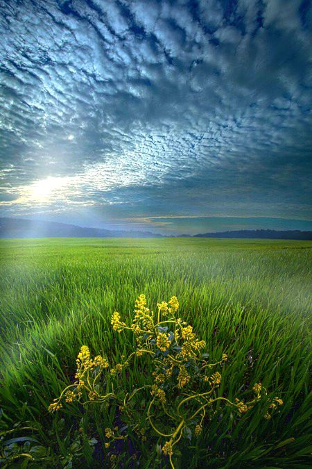Beautiful Nature image