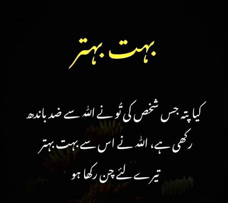 Islamic Quotes image