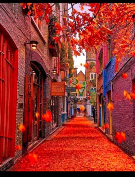 Beautiful Structures image