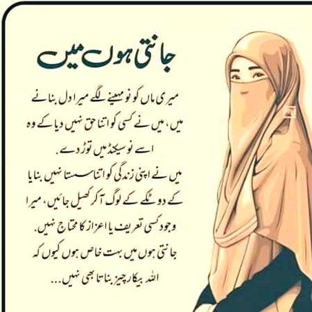 Attitude Quotes image