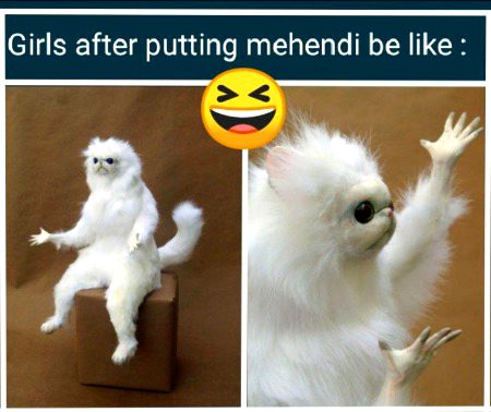 Memes & Satire image