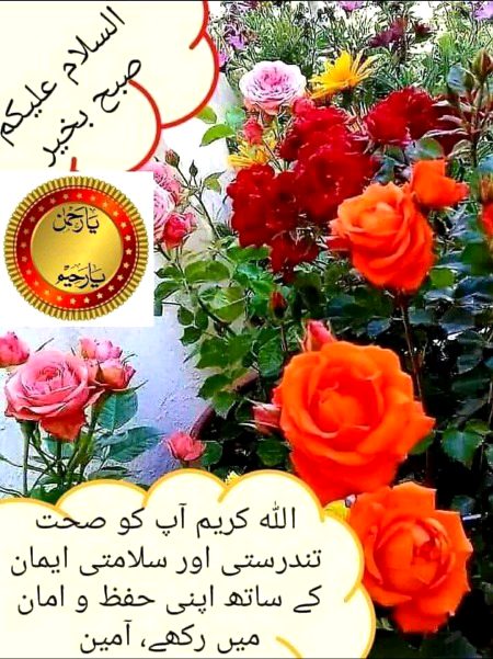 Beautiful Nature image