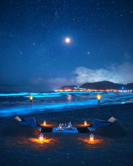 Beautiful Nature image