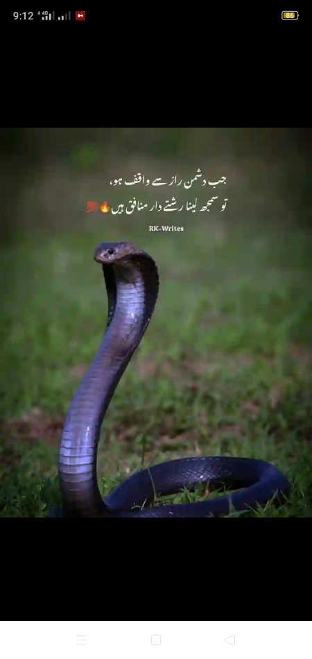 Life Advice image