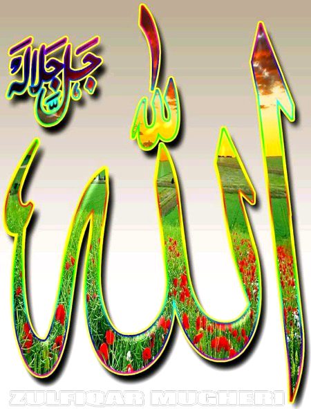 Islamic Quotes image