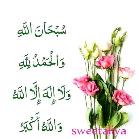 Islamic Quotes image