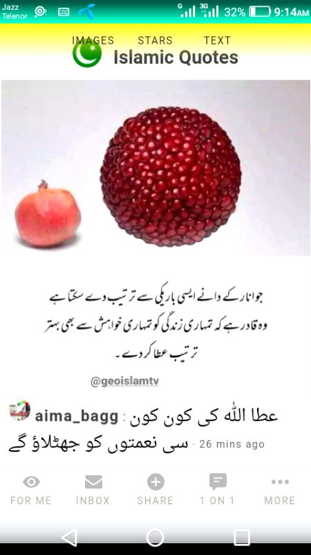 Islamic Quotes image