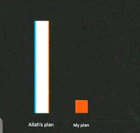 Life Advice image