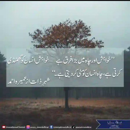 Social media post