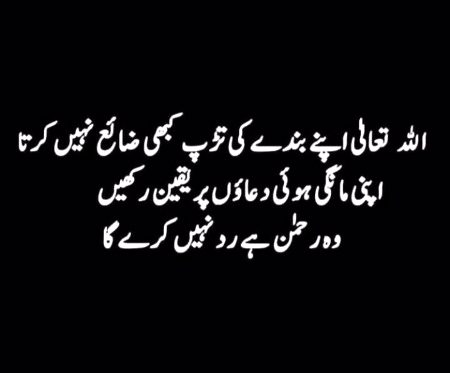 Islamic Quotes image