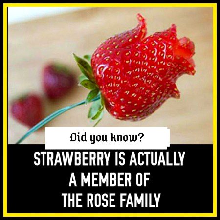 Interesting Posts image